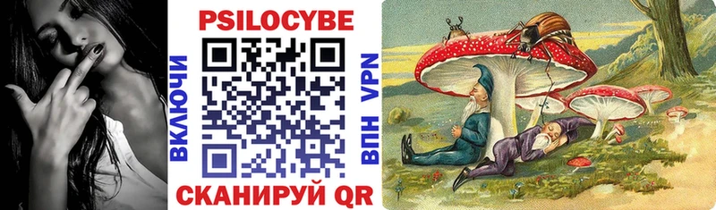 Купить закладки  Отрадная  Псилоцибиновые грибы мицелий 